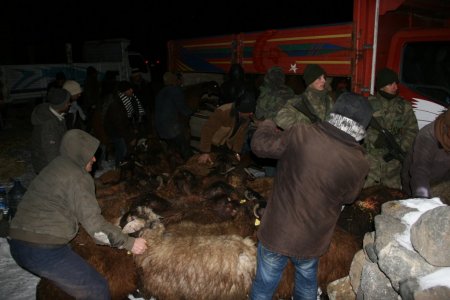 Iğdır'da kar ve tipide mahsur kalan çoban ve köylüler kurtarıldı