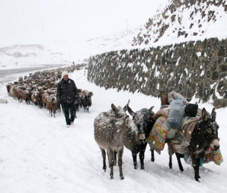 Iğdırlı çobanların zorlu yolcuğu