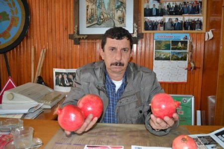 İhracat durdu, Türkiye 'nar'a doydu