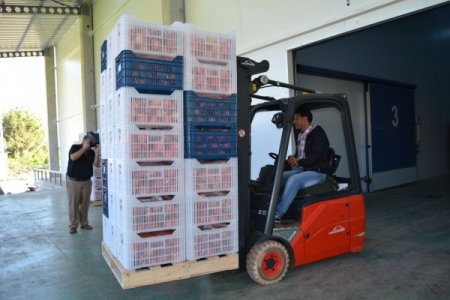 İhracat durdu, Türkiye 'nar'a doydu