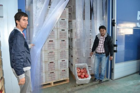 İhracat durdu, Türkiye 'nar'a doydu