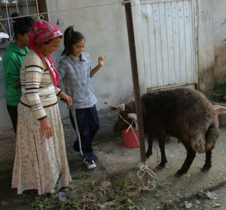 İhtiyaç sahibi ailelerin yüzü 'hediye kurban' ile güldü