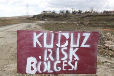 İki Köy Kuduz Risk Bölgesi İlan Edildi