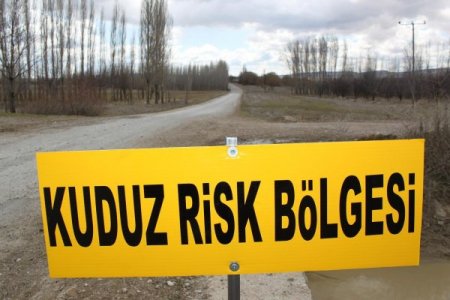 İki Köy Kuduz Risk Bölgesi İlan Edildi