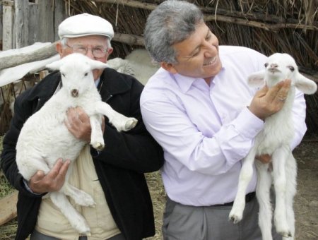 İl Özel İdaresi'nin Dağıttığı Hayvanlar Vatandaşa Çifte Bayram Yaptırdı