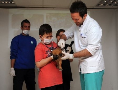 İlköğretim öğrencilerini, hayvanları tanıdı