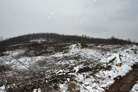 İlküvez'de yapılacak katı atık bertaraf tesisi alanında inceleme yaptılar