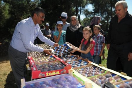 İncir Festivali’nde yağlı güreş şenliği