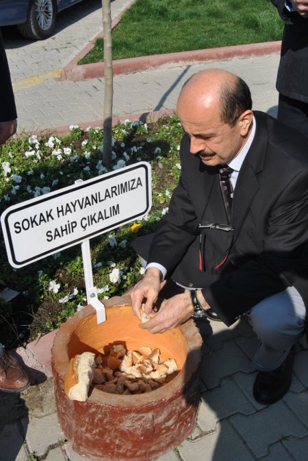 İnegöl'de sokak hayvanları artık aç kalmayacak