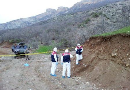 İnsan kemiklerinin bulunduğu yerde jandarma kazı yaptı