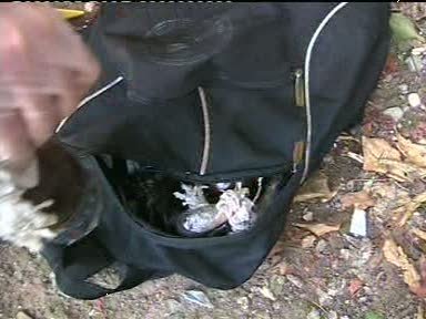 İnsanları Sokağa Dökmek İçin Kendilerine Atılan Gaz Bombasını Eve Attılar