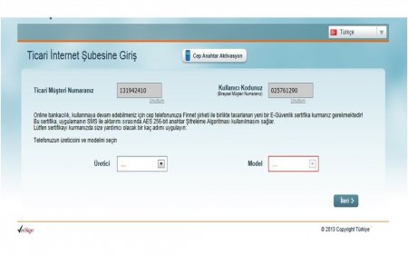 İnternet üzerinden banka hesaplarını boşaltan çeteye çökertildi