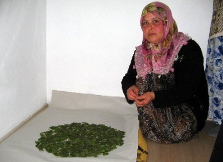 İpekböceklerini bebek gibi büyütüyor