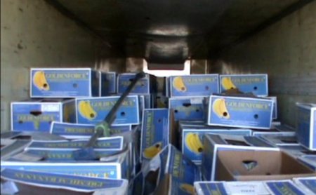 Irak’a Muz Yerine Taş İhraç Edeceklerdi