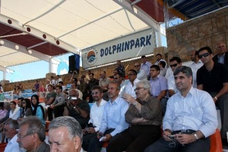 İranlılara Yunuslu Terapi