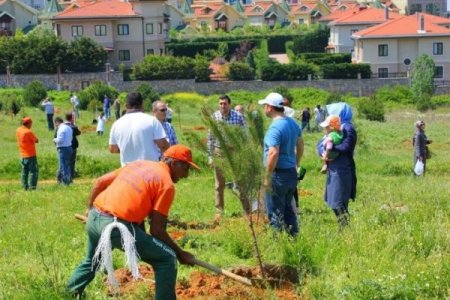 İş Adamları Ve Öğrenciler Ağaç Dikti