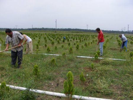 İş Kur’dan İş Bulma Güçlüğü Çekenlere İş İmkanı