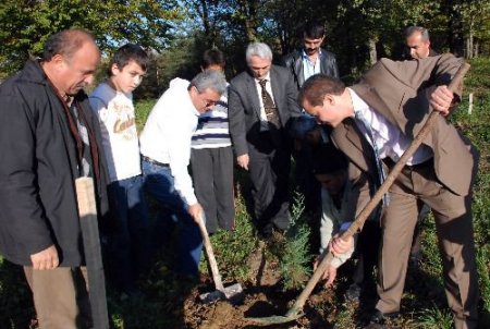 Işıklı Köyünde 350 Fidan Dikildi