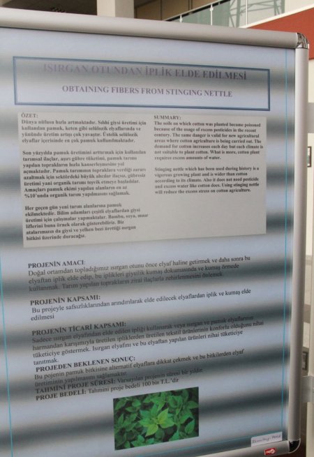 Isırgan otu artık yakmayıp ısıtacak