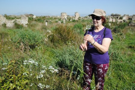 İskandinav ülke turistlerin eko, kültür ve tarih turları başladı