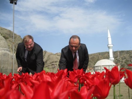 İskilip, Lale Şehri Oldu