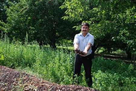 Isparta'da Kirazdaki Zarar 20 Milyon Lirayı Buldu, Üreticiler Borçlarının Ertelenmesini İstiyor