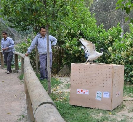İsrail’de doğdular, İzmirli oldular