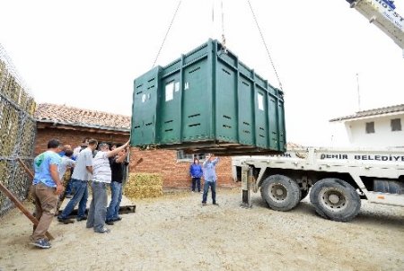İsrail’de doğdular, İzmirli oldular