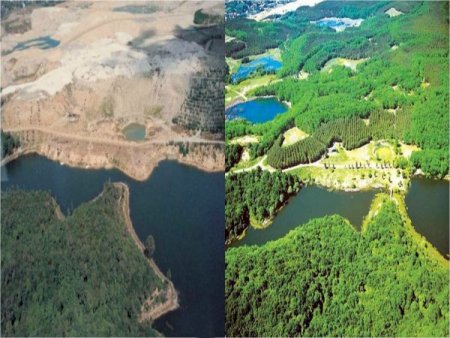 İstanbul Artık Daha Yeşil