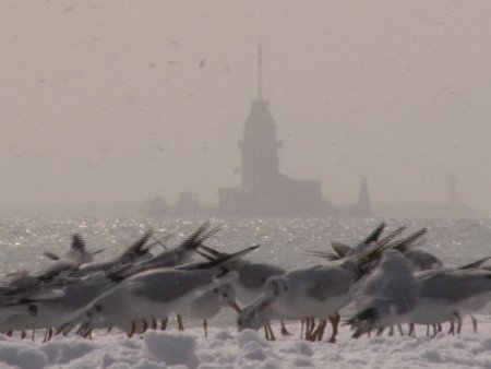 İstanbul Boğazı'nda 'Beyaz' Güzellik