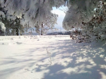 İstanbul Ormanlarından Kar Manzaraları