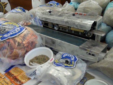 İstanbul polisinden 'Bonzai' operasyonu