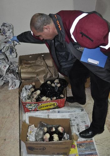 İstanbul'da 25 Molotof Atılmadan Ele Geçirildi