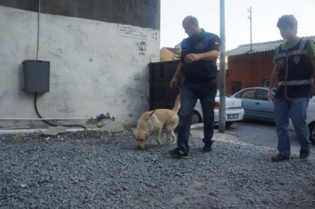 İstanbul'da 300 Polis 6 İlçede Eş Zamanlı Uyuşturucu Operasyonu Yaptı