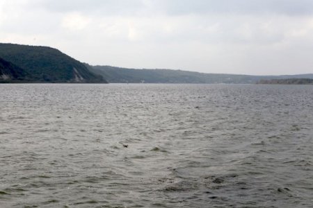 İstanbul'da Barajlardaki Doluluk Oranı Yüzde 95