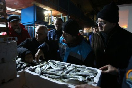 İstanbul'da kaçak balık satıcılarına gece baskını (Özel)