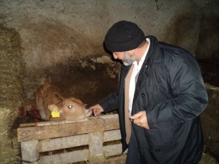 İstanbul'da köylü olmak