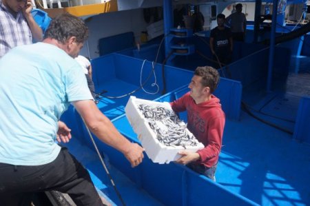 İstanbullu balıkçının hamsi bereketi vatandaşa yaradı (Özel)