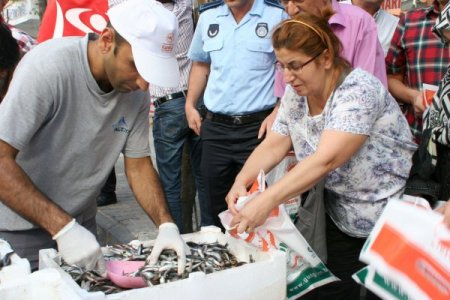 İstanbullu balıkçının hamsi bereketi vatandaşa yaradı (Özel)