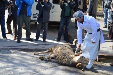 İstanbul'un motorize trafik ekiplerine taze kan