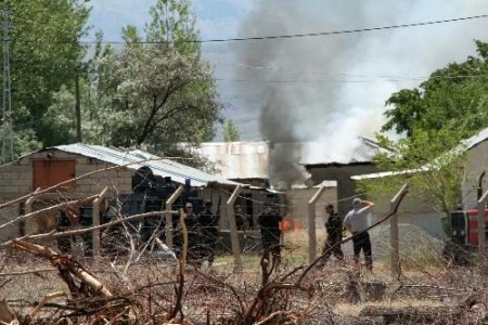 İstihbarat Çalışması, Terör Örgütünün Karadeniz'e Sızmasını Engelledi