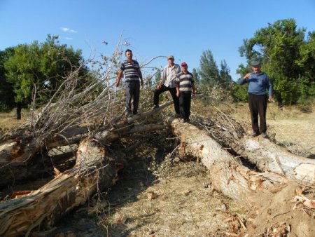 İstimlak paralarını alamayan köylüler mağdur oldu