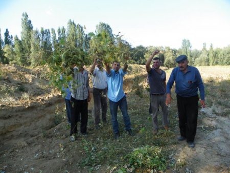 İstimlak paralarını alamayan köylüler mağdur oldu