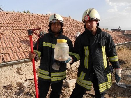 İtfaiye, kurduğu yılan timine eğitim verdi