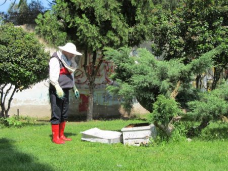 İtfaiyeden Arı Operasyonu