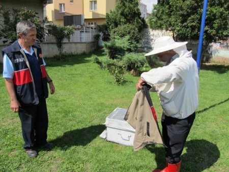 İtfaiyeden Arı Operasyonu