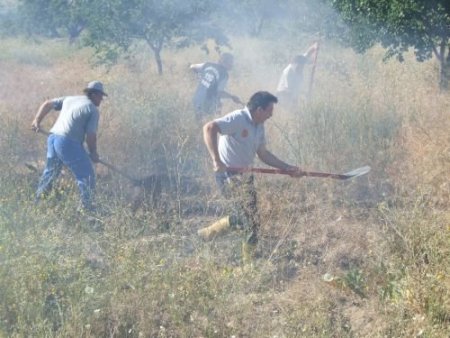 İtfaiyeden 'yanan Sigara İzmaritini Rastgele Atmayın' Uyarısı