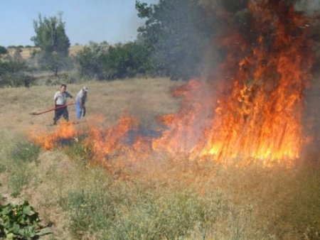İtfaiyeden 'yanan Sigara İzmaritini Rastgele Atmayın' Uyarısı