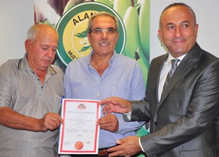 İyi tarım sertifikası ile muz daha kaliteli üretilecek