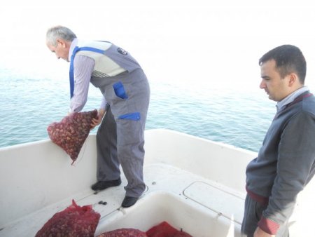 İzinsiz sevkiyatı yapılan 2 ton akivadese el koyuldu